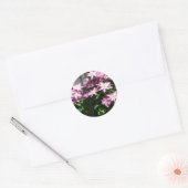 Sticker Rond Escalade Clematis Fleurs de printemps violettes (Enveloppe)