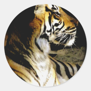 Sticker Rond Espoir