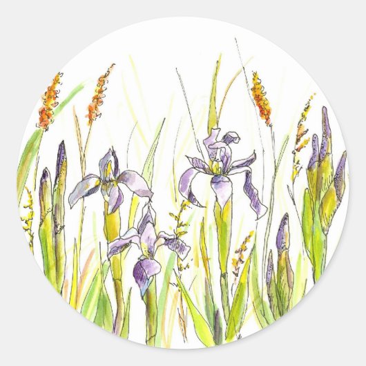 Sticker Rond Esquisse d'aquarelle Fleur sauvage Iris violet sau (Devant)