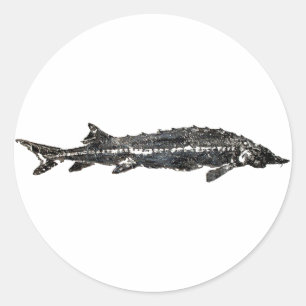 Sticker Rond Esturgeon blanc Gyotaku-40-Élément