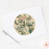 Sticker Rond Étapes de la vie des papillons par Vision Studio (Enveloppe)