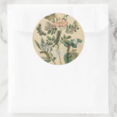 Sticker Rond Étapes de la vie des papillons par Vision Studio (Sac)