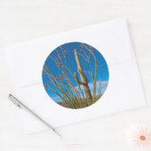 Sticker Rond États-Unis, Arizona. Cactus Dans Le Parc National (Enveloppe)