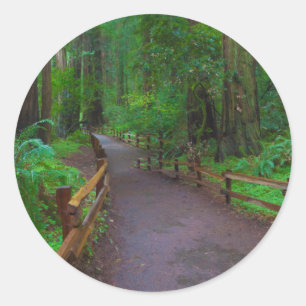 Sticker Rond États-Unis, Californie. Chemin parmi les séquoias