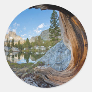Sticker Rond États-Unis, Californie, Forêt nationale d'Inyo. Vi