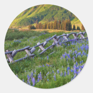 Sticker Rond États-Unis, Colorado. Lupins et clôture à rails fe