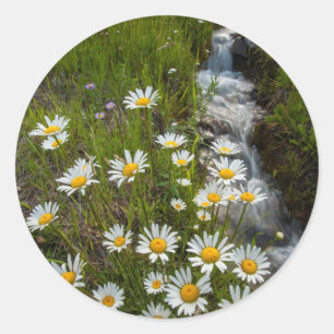 Sticker Rond États-Unis, Colorado, Montagnes de San Juan. Margu