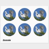 Sticker Rond États-Unis, Floride, St. Augustine, Aigrette (Feuille)