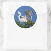 Sticker Rond États-Unis, Floride, St. Augustine, Aigrette (Sac)