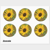 Sticker Rond États-Unis, Kansas. Wild Sunflower (Feuille)