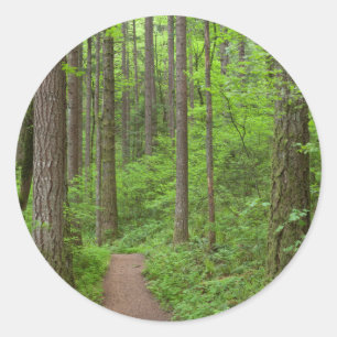 Sticker Rond États-Unis, Oregon, Columbia River Gorge. Chutes 