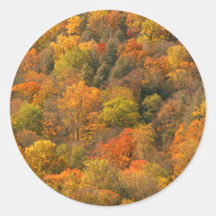 Sticker Rond États-Unis, Tennessee. Édifice d'automne 2