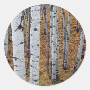 Sticker Rond États-Unis, Utah, Forêt nationale d'Uinta-Wasatch-