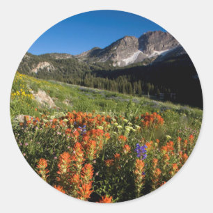 Sticker Rond États-Unis, Utah, forêt nationale d'Uinta-Wasatch-