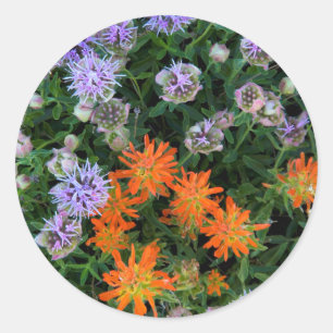 Sticker Rond États-Unis, Utah, Forêt nationale d'Uinta-Wasatch-