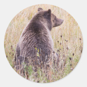 Sticker Rond États-Unis, Wyoming, Parc national de Yellowstone,