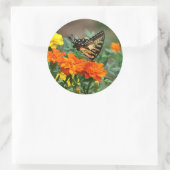 Sticker Rond Été - Papillon à queue noire et jolie Marigold (Sac)