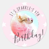 Sticker Rond Étoile pour animaux | Photo Animaux de compagnie f (Devant)