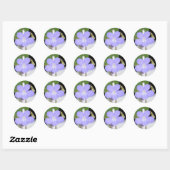 Sticker Rond Étoiles en chute (Feuille)