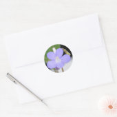 Sticker Rond Étoiles en chute (Enveloppe)