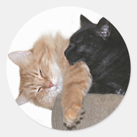 Sticker Rond Étouffer les copains (Devant)