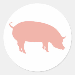 Sticker Rond Euro 2012 Psychic Pig