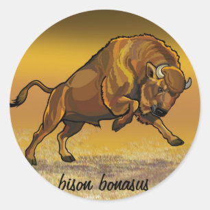 Sticker Rond European bison