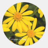 Sticker Rond Euryops Daisy [Round Seal] (Devant)