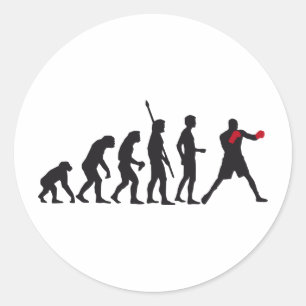 Sticker Rond évolution boxing