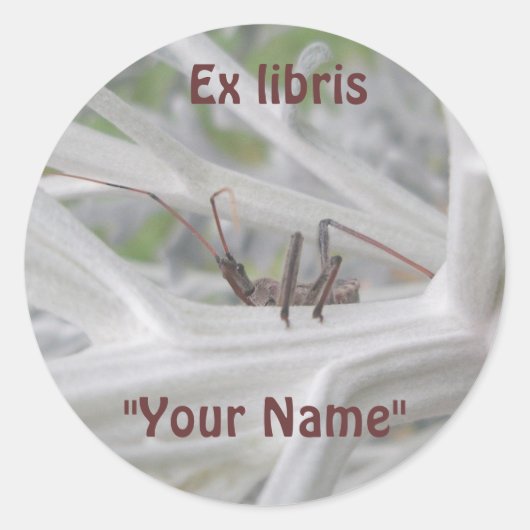 Sticker Rond Ex librisStickers Reduviid Peeking (Devant)