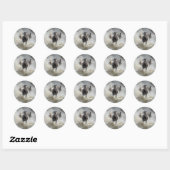 Sticker Rond Exécution libre (Feuille)