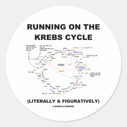 Sticker Rond Exécution Sur Le Cycle Krebs (Humour Scientifique) (Devant)