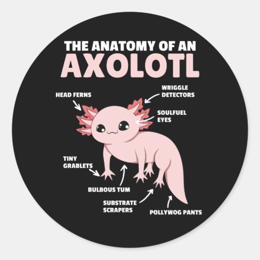 Sticker Rond Explication Axolotl Anatomie D'Un Axolotl (Devant)