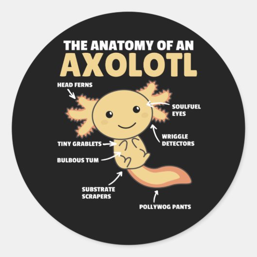 Sticker Rond Explication Axolotl Anatomie D'Un Axolotl (Devant)