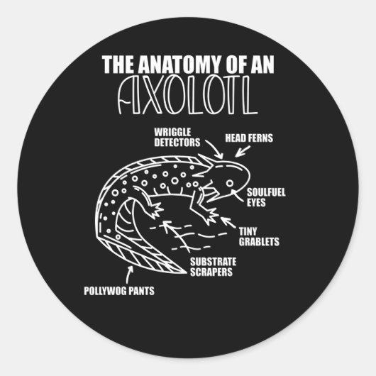 Sticker Rond Explication Axolotl Anatomie D'Un Axolotl (Devant)