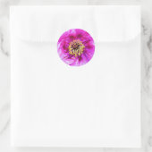Sticker Rond Explosion rose (Sac)