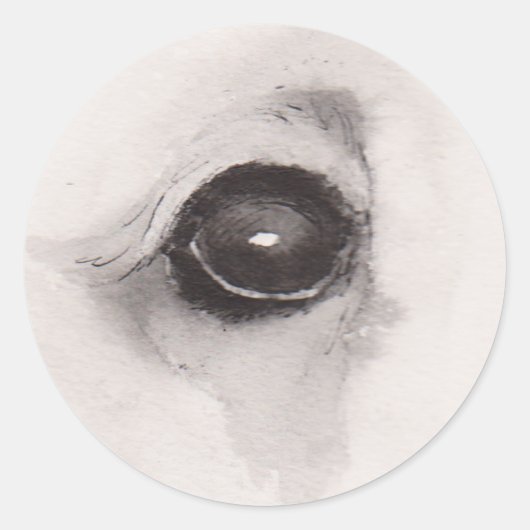 Sticker Rond Eye of the Bear – Gaze Collection (Devant)