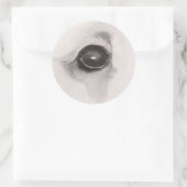 Sticker Rond Eye of the Bear – Gaze Collection (Sac)