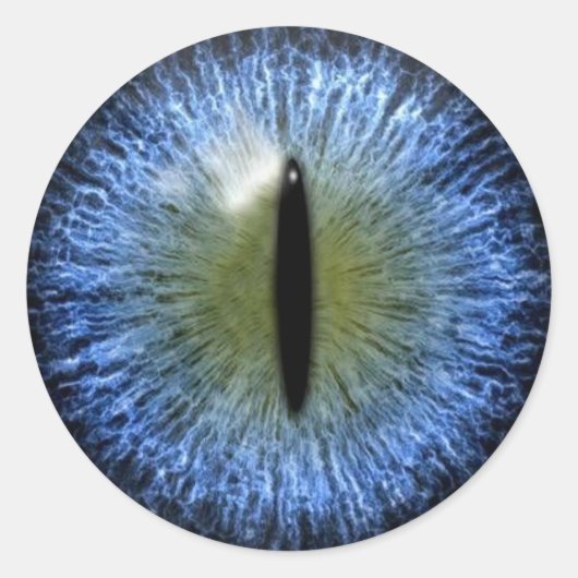 Sticker Rond Eyeball de chat Halloween effrayant (Devant)