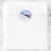 Sticker Rond F-16 Thunderbird En Vol (Sac)