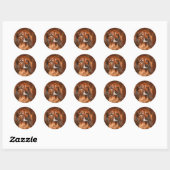 Sticker Rond Face Dachshund (Feuille)