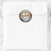 Sticker Rond Face de chat (Sac)