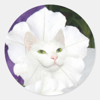 Sticker Rond Face de chat Petunia