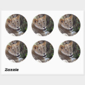 Sticker Rond face de lion (Feuille)