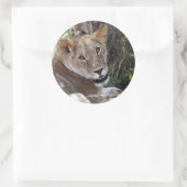 Sticker Rond face de lion (Sac)