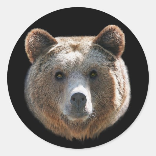 Sticker Rond Face de l'ours grizzli (Devant)