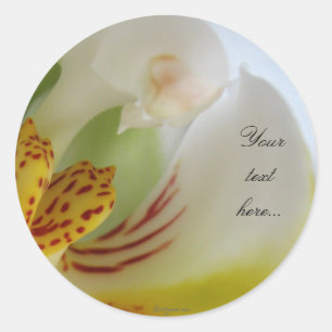 Sticker Rond Faire-part de mariage magiques orchidées blanches