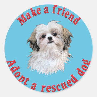 Sticker Rond Faire un ami - Shih Tzu