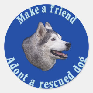 Sticker Rond Faire un ami - Sibérien Husky