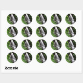 Sticker Rond Fairy Falls (Feuille)